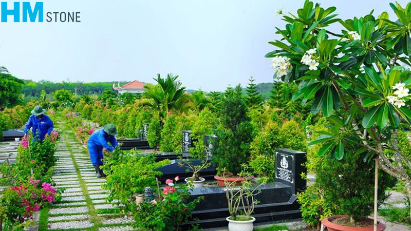 nen trong cay hoa gi tren mo 10 Cây hoa trồng trên mộ cần được chăm sóc đúng cách để luôn tươi tốt