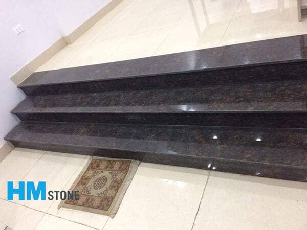 Mẫu Đá bậc cấp trong nhà